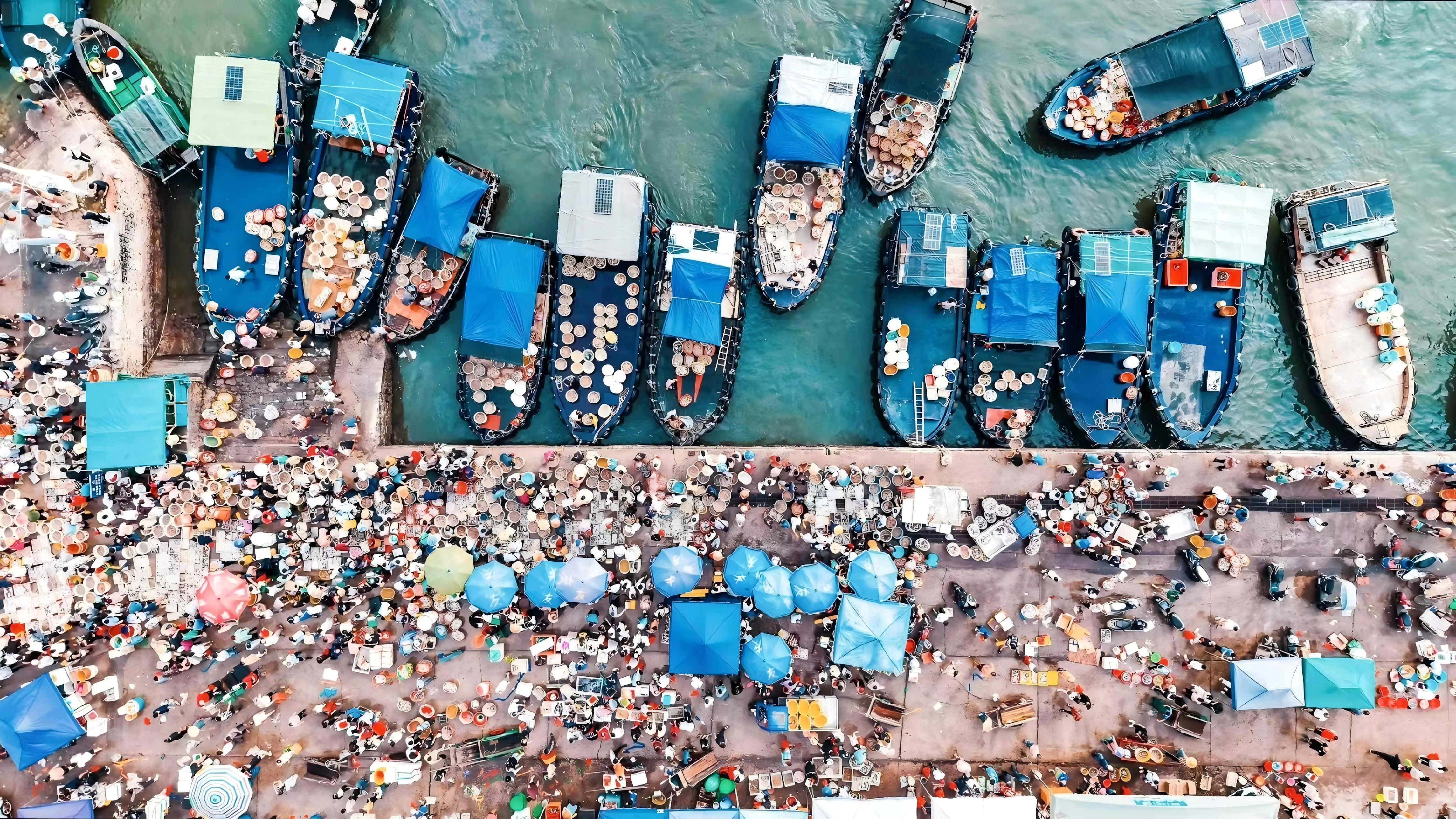 msn, 与文旅发展 msn, 与文旅发展