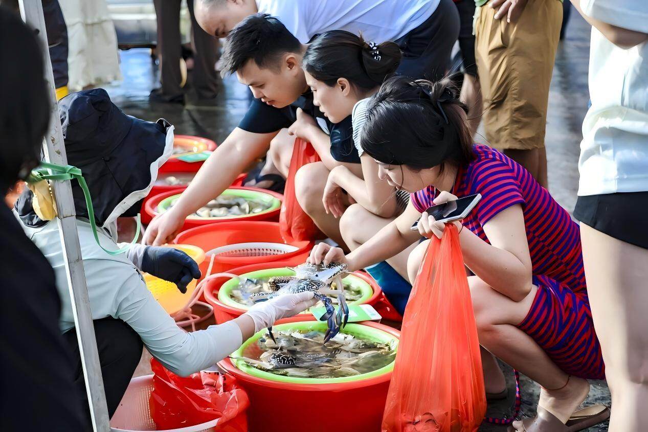 src, 要不要也亮, 千年渔港 src, 要不要也亮, 千年渔港