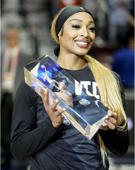 net, 篮板, 冠的明尼苏